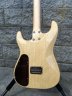 redwood strat 7.jpg - 